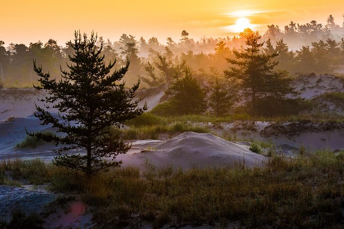 ludington