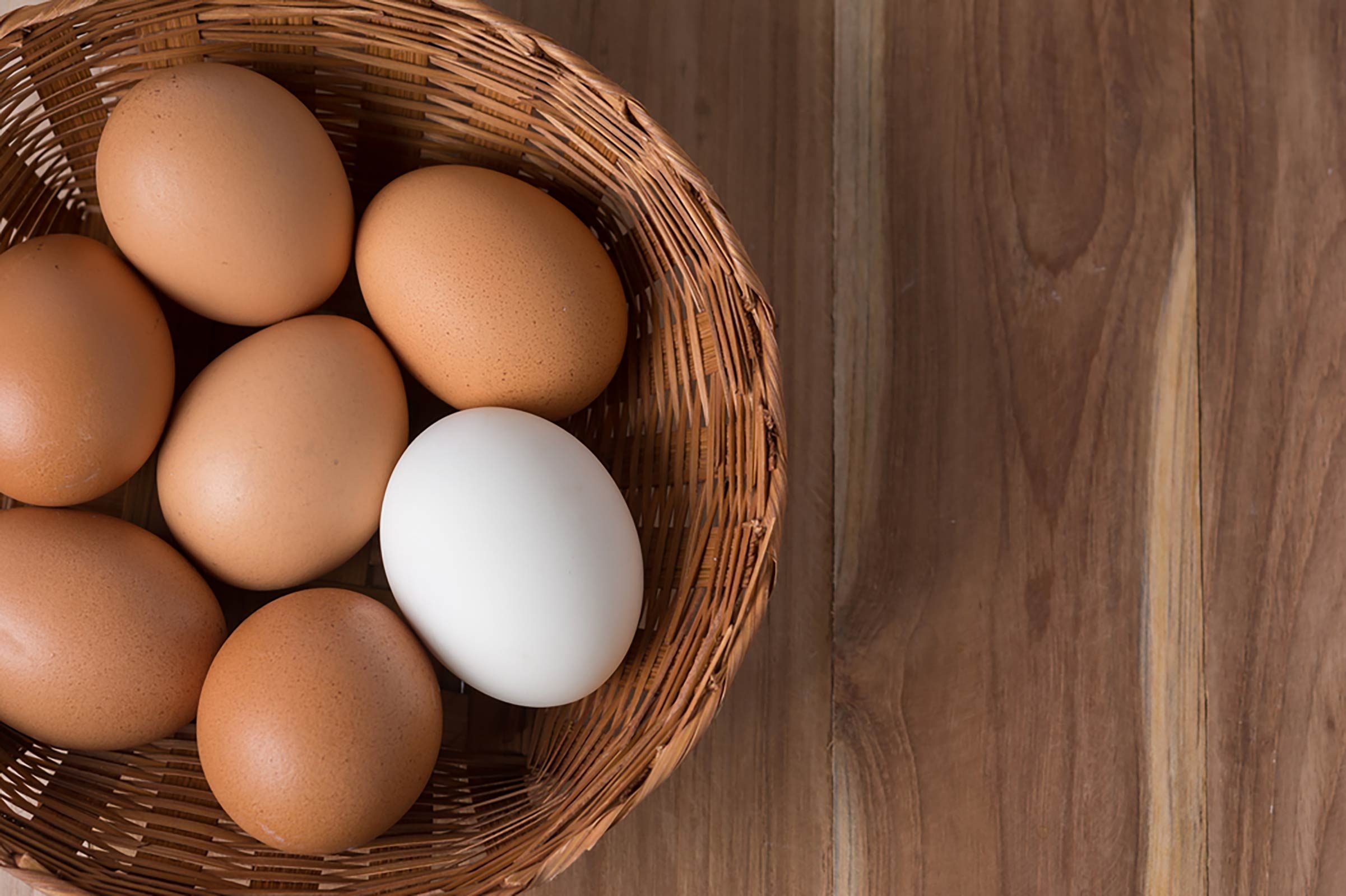eggs
