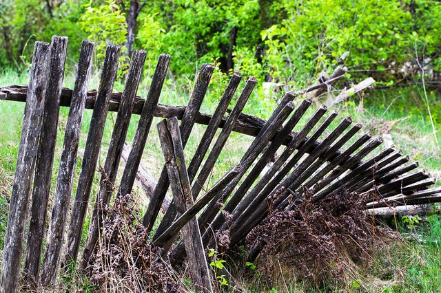 fence