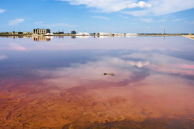 Pink-lakes