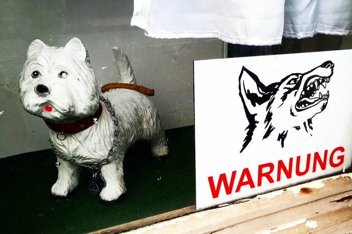 Ceramic-dog