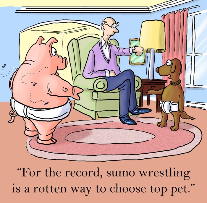 "For the record, Sumo wrestling is a rotten way to choose top pet."