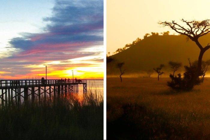 africa
