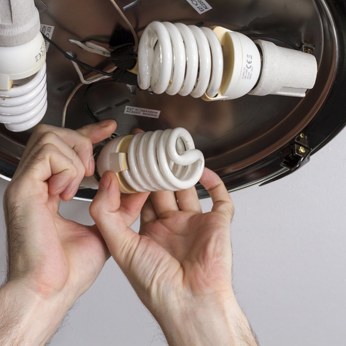 Light Bulb