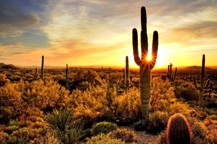 Arizona