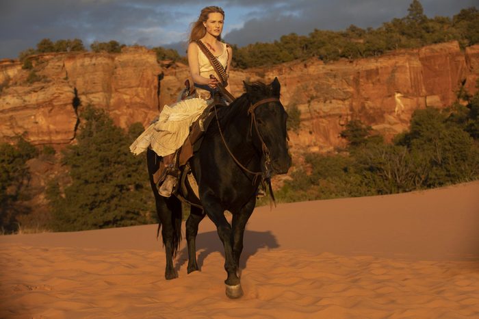 "Westworld" (Season 2) TV Show - 2018