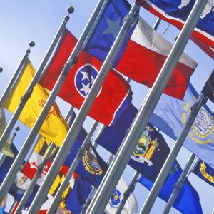 Flags flap against a clear blue sky, representing various U.S. states with diverse colors and symbols, mounted on tall flagpoles.