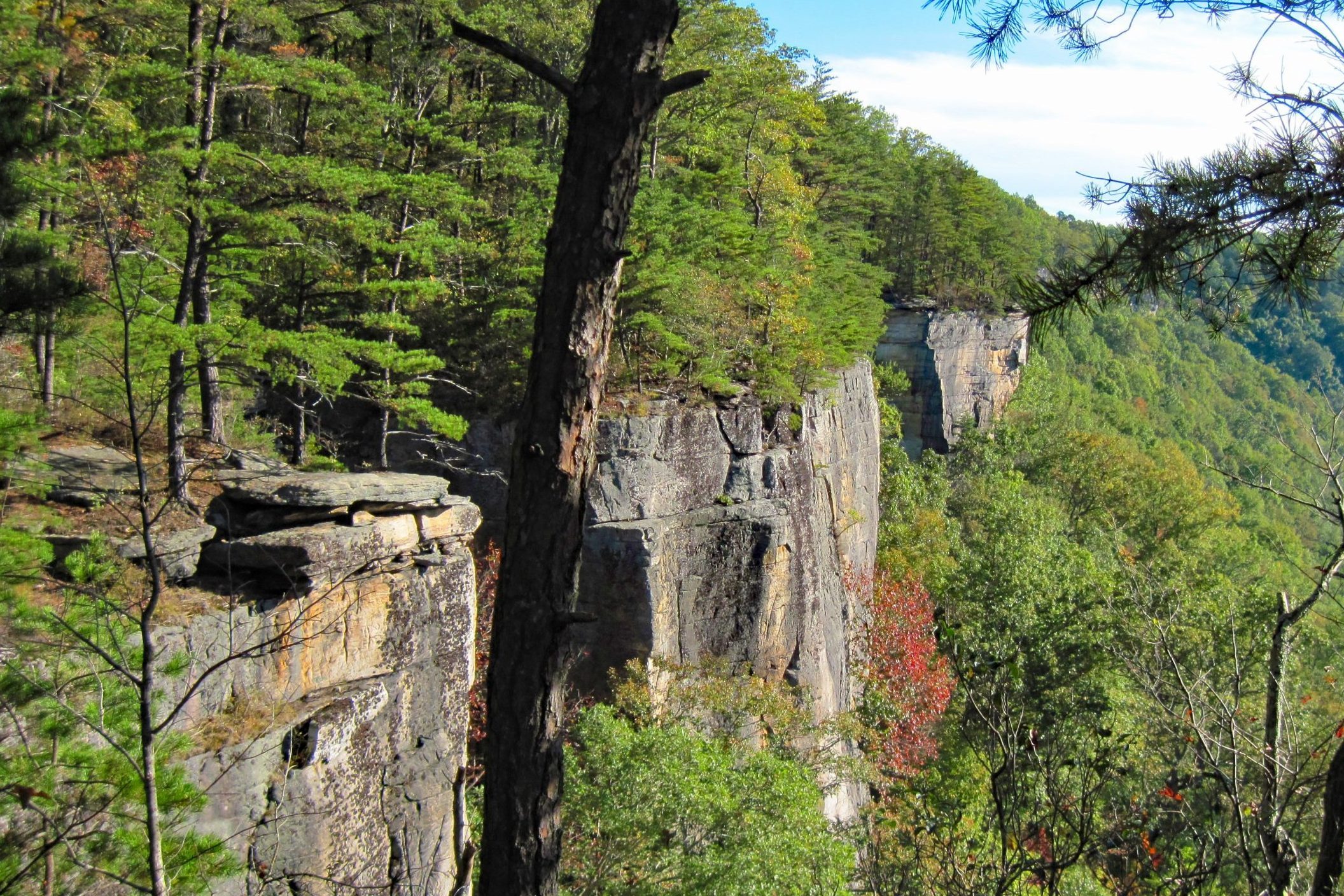 New River Gorge Endless Wall hiking trail view from Diamond Point.