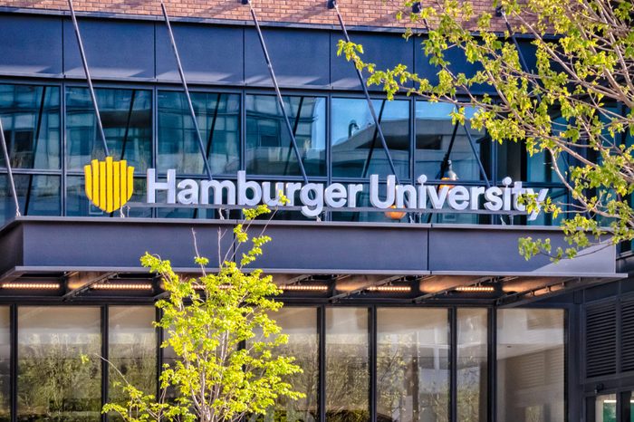 hamburger
