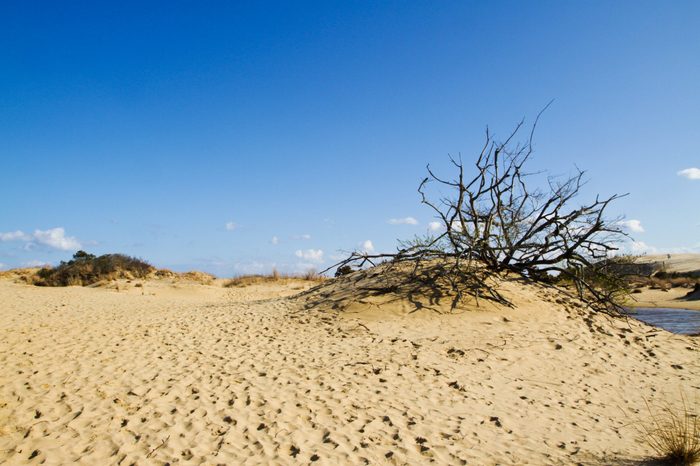 Jockey's Ridge National Park in NC