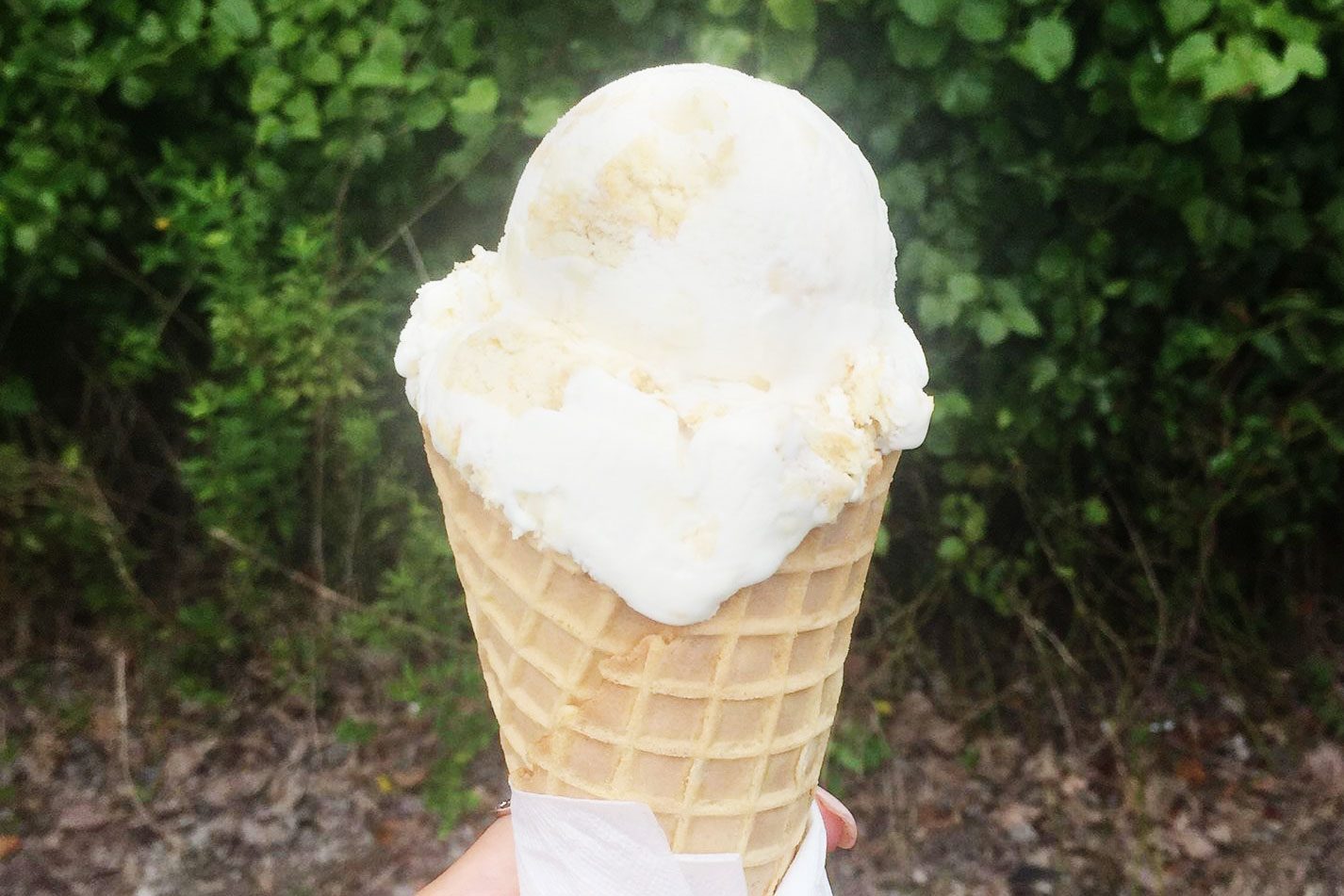 Sunni Skys Homemade Icecream 