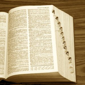 Dictionary lies open on a wooden table, displaying the entries from 