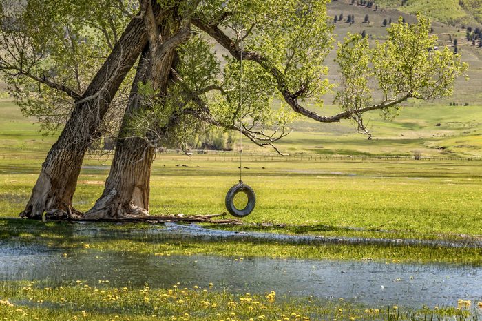 lazy summer afternoons in the countryside