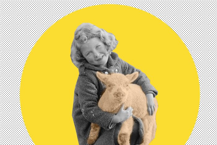 Mary had a Lamb