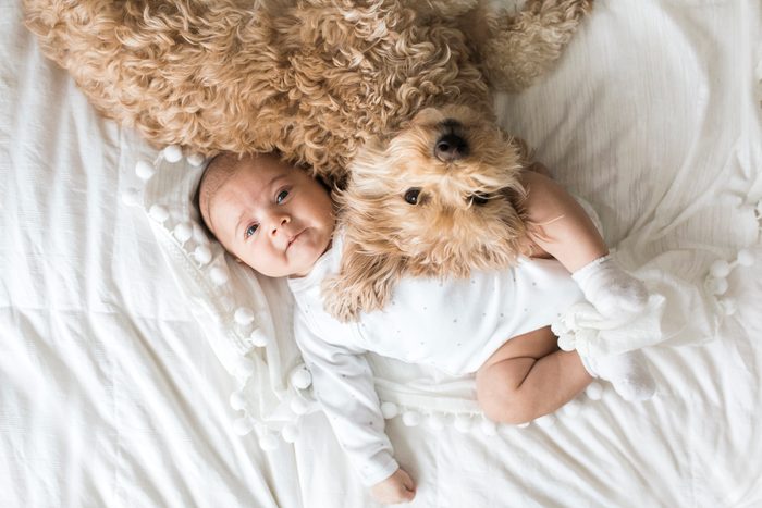 Baby Laying Next to Dog