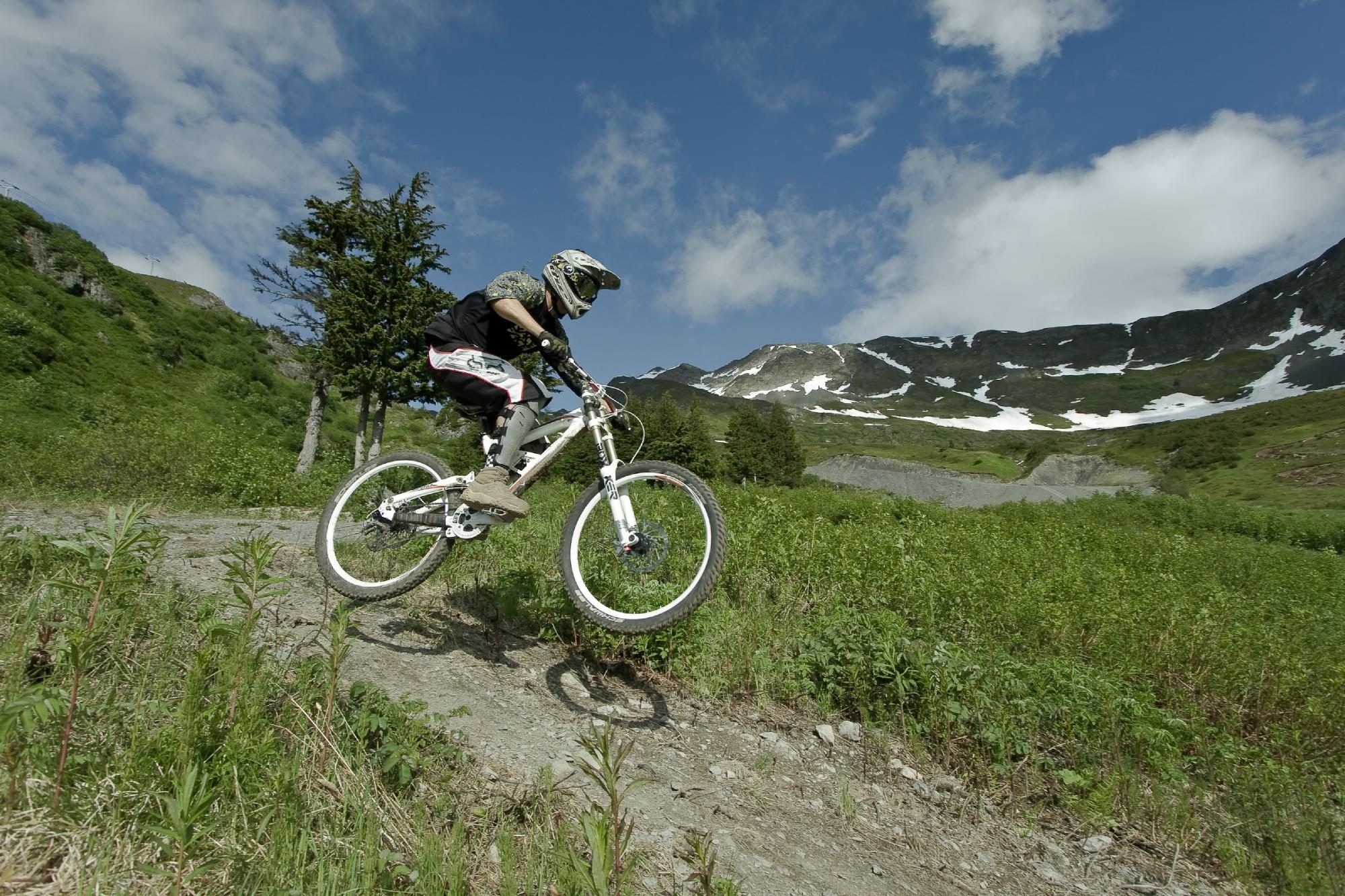 Mountain Biker
