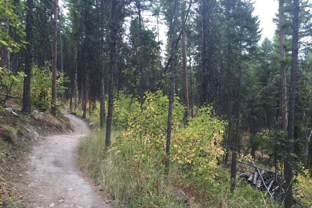 Bike trail in Montana