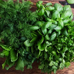 Fresh herbs lie neatly arranged on a wooden table.