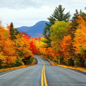 Road curves through vibrant autumn trees, under a cloudy sky, with distant mountains in the background.