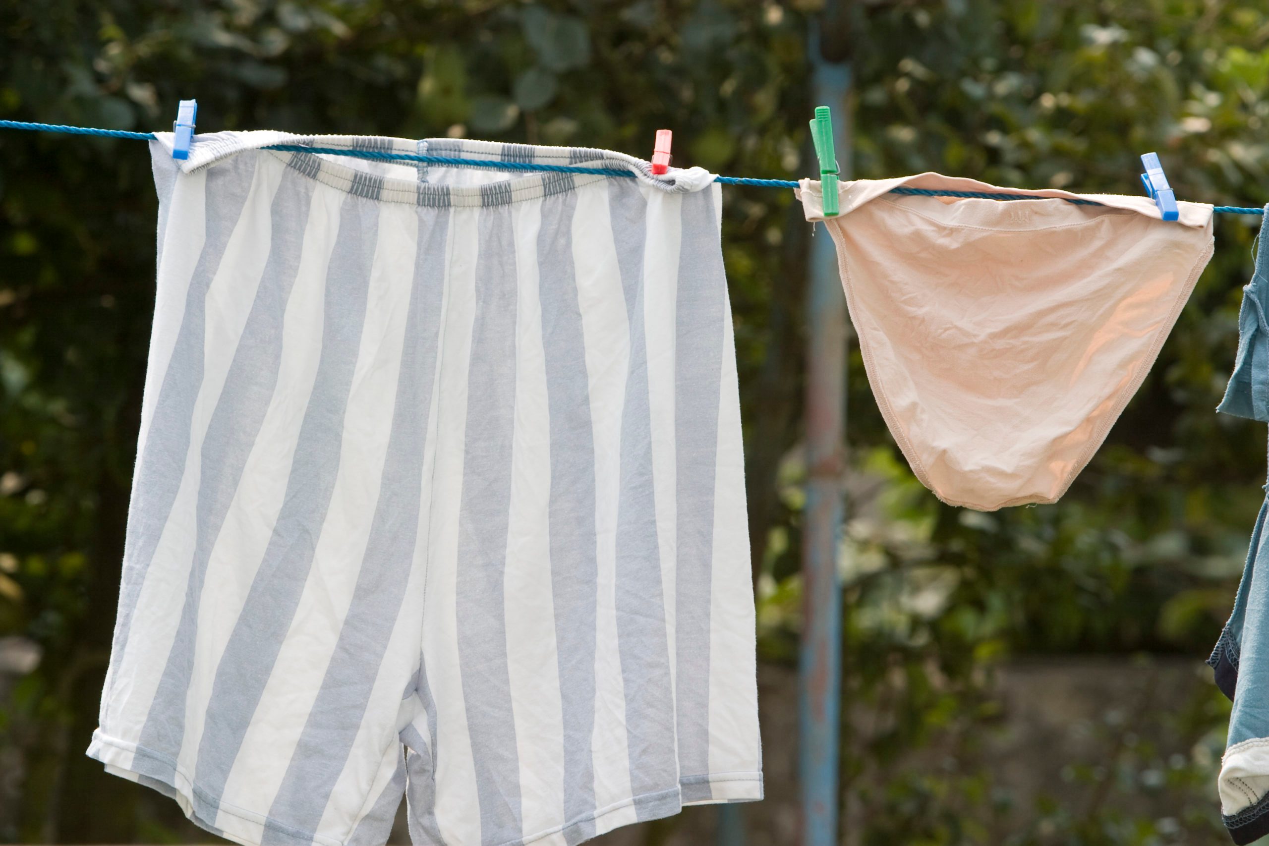 underwear