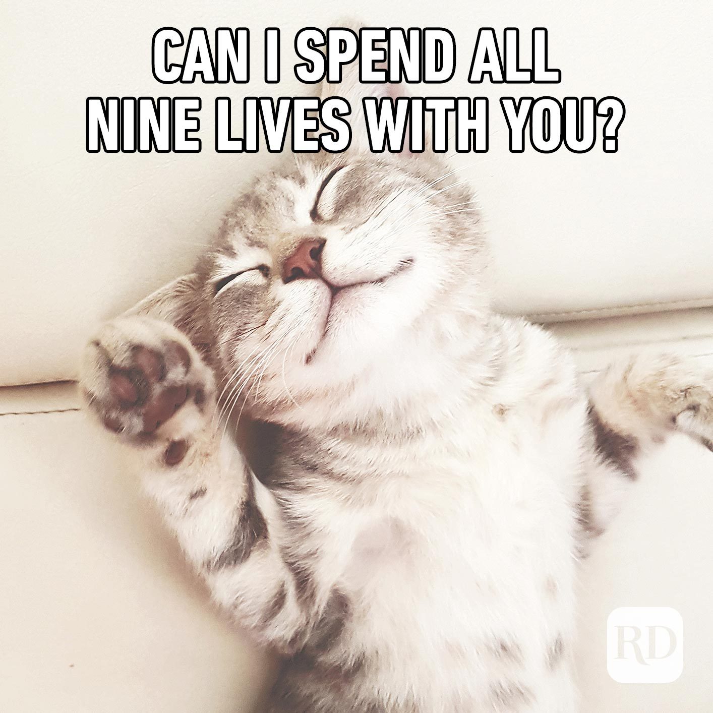 Sleeping cat. Meme text: Can I spend all nine lives with you?