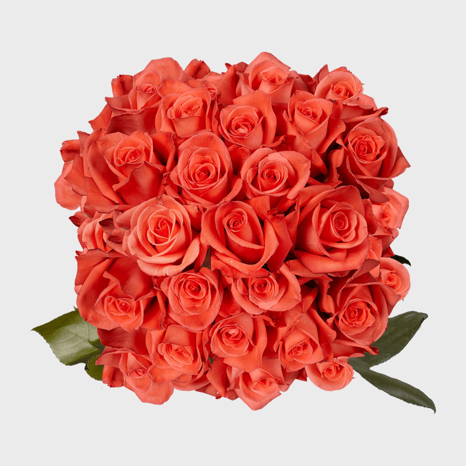 4 Salmon Rose Bouquet Via Globalrose Ecomm