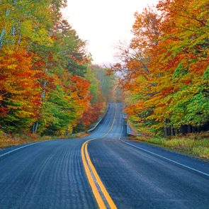 A winding road stretches through vibrant autumn foliage, bordered by trees with red, orange, and green leaves under a clear sky.