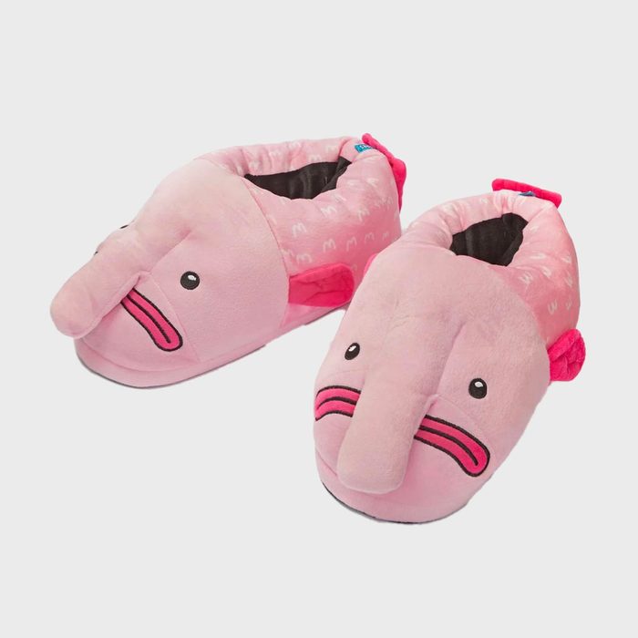 Pink slippers shaped like blobfish rest on a plain white background, featuring a cartoonish design with big eyes and pink mouths.