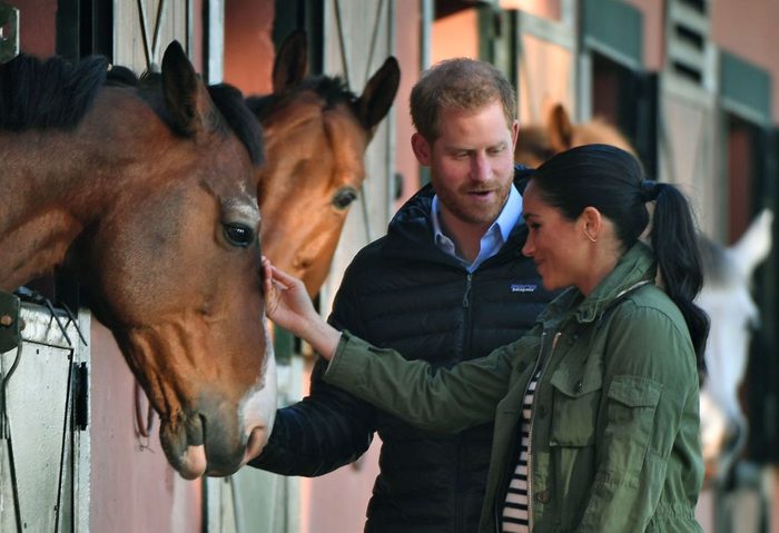 Prince Harry and his wife Meghan, Duke & Duchess of Sussex, pet a horse at the Moroccan Royal Federation of Equestrian Sports in Rabat on February 25, 2019