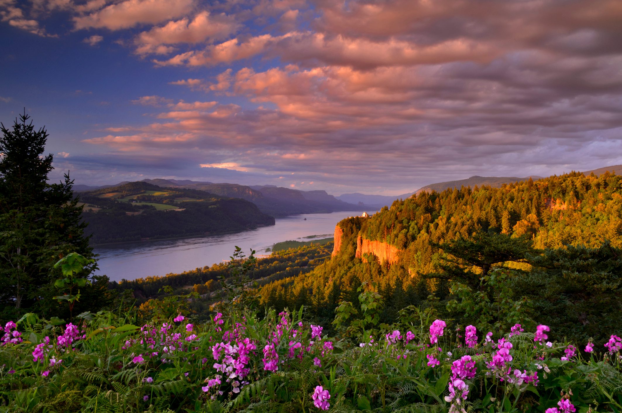 Vista House & Gorge