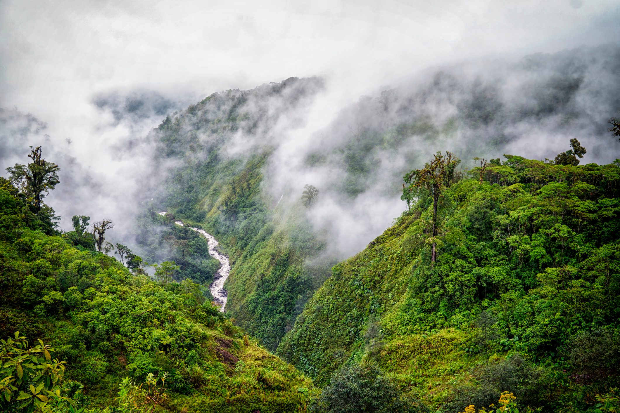 Tranquil scene of river valley in clouds