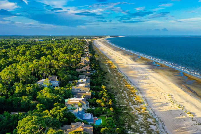 Beach stretches alongside lush homes, bordered by dense forest and vast ocean under a clear sky.