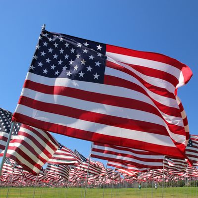 When Is Memorial Day 2025, and Why Do We Celebrate It?