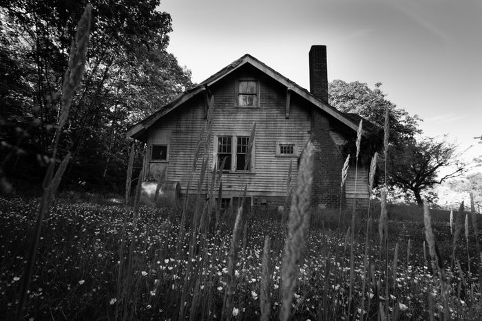 Cabin in the Woods