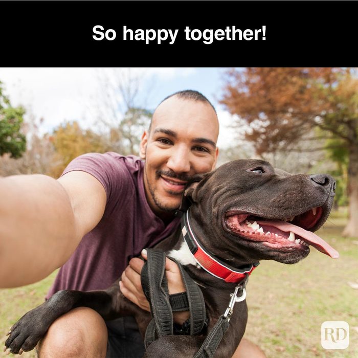 40 Smiling Dog Memes That Will Make Everything Better On A Bad Day