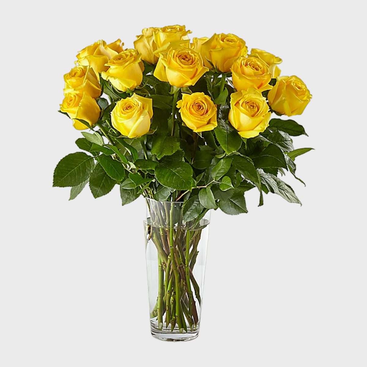 Yellow Roses 