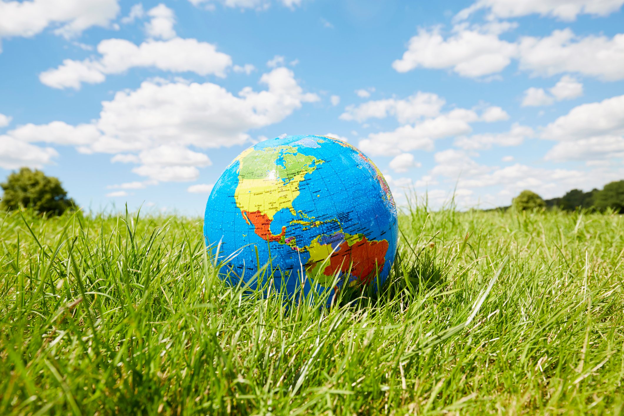 20 Earth Day Facts You Should Know