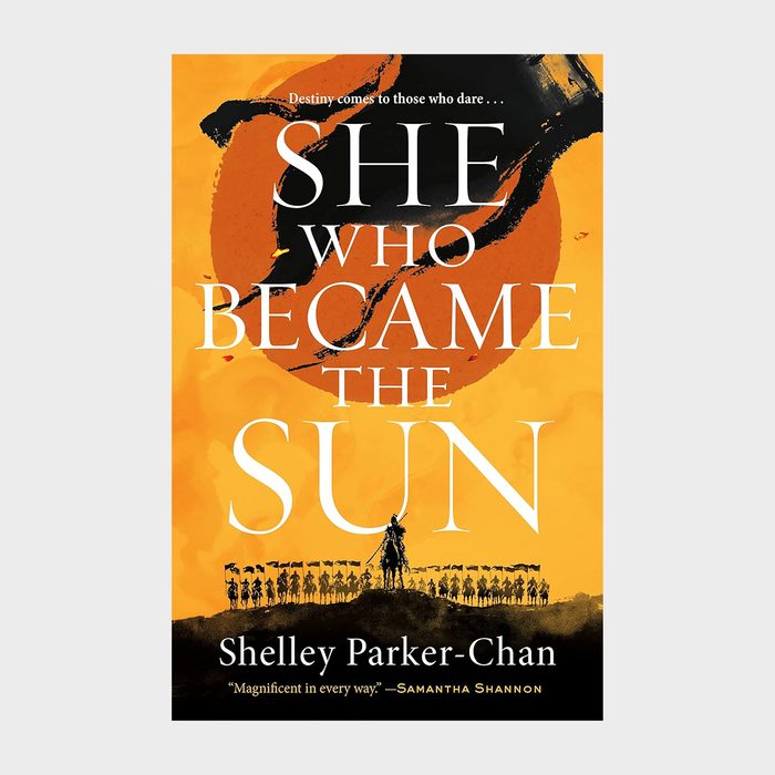Silhouette and orange sun dominate a book cover with a rider leading a group. Text: 