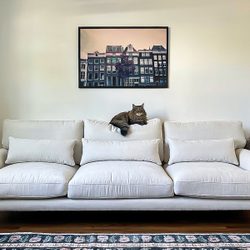Cat sits atop white sofa, surrounded by cushions. Framed picture of buildings hangs on wall above; floral rug covers wooden floor.