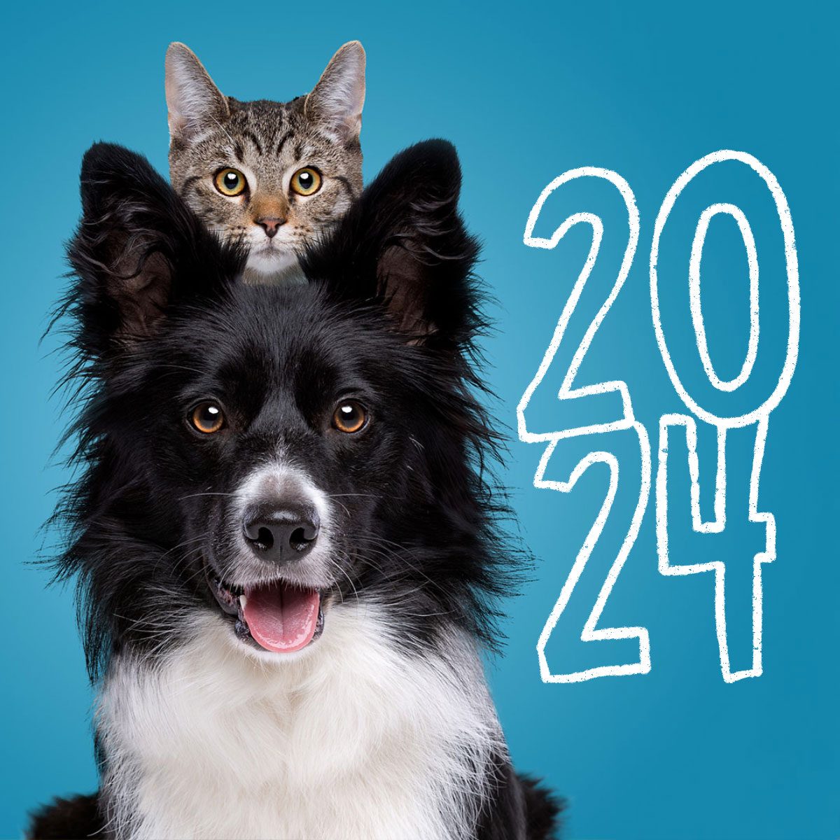 These Are the Most Popular Pet Names of 2024—Did Your Furry Friend’s Name Make the List?
